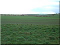 Farmland South of Sancton