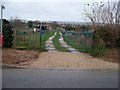 Path through the allotments