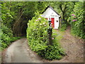 South West Coast Path near Martinhole