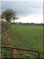 Field beside Charlton Lane