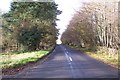 West Street near Conyer Wood