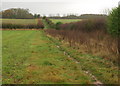 Footpath near Bishop