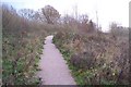 Footpath towards Lodge Wood