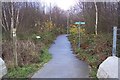 Footpath junction near Lodge Wood