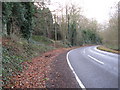 Bridleway branching off Warninglid Lane