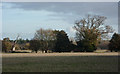 Field and trees near Holbrook