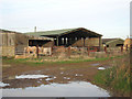 Cattle sheds at North Farm