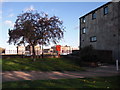 Dover Castle pub (site of)  39, Rotherhithe Street, London, SE16