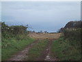 SX9199 : Field opposite Sevenstone Barton by Sarah Charlesworth