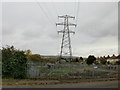 Allotments pylon, Bridgend