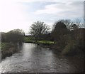 SX9497 : River Culm at Stoke Canon by Sarah Charlesworth