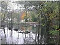 Former millpond for Swan Bank Mills, Cartworth (Holmfirth)