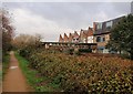 Wandle Trail, Wimbledon