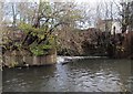 Weir on the Wandle