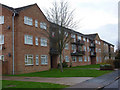 TL8029 : Flats on Conies Road by Andrew Hill