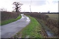 Lane towards Chilmington Bungalows