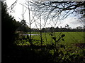 Colehill, playing fields