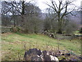 Footpath junction at Grindleford