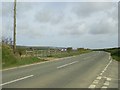 Field by the A487, Panteg