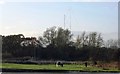 Horses near the Hoo transmitter