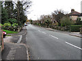 Looking up Woodhouse Lane