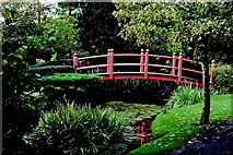 N7311 : Kildare - Japanese Gardens Bridge of Life by Joseph Mischyshyn