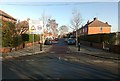 Birch Avenue, Beeston Rylands