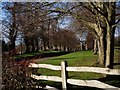 The Private Drive leading to Cuckfield Park