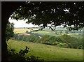 Slopes of Foxdon Hill