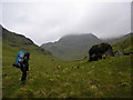 NN4118 : Moving up the Ishag Glen by Karl and Ali