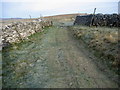 Pennine Way near Jackdaw Hill