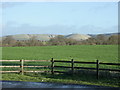 2009 : North east at the entrance to Lower Foxhangers Farm