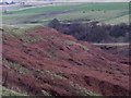 Ancient Cultivation Terraces