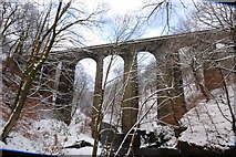 SD8815 : Healey Dell Viaduct, Healey Dell Nature Reserve, Rochdale by David Smith