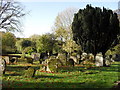 SP2313 : Gravestones in Taynton churchyard by andrew auger