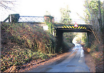 TG1804 : Bridge 1630 viewed from Cantley Lane by Evelyn Simak