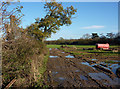 Track near Park Farm