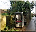 Telephone Box, Langton Rd