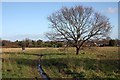 Path over Hayslan Field