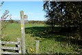 Severn Way at Bryn Amlwg