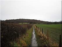 NZ5611 : Footpath to Rye Hill by Philip Barker