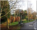 Bus Stop, Langton Rd