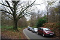 Castle Rd, Tunbridge Wells Common