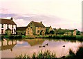 The duck pond - Newton on Rawcliffe