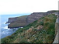 R0493 : View north-eastward from O'Brien's Tower on the Cliffs of Moher by Eirian Evans
