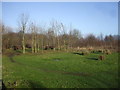 Benches & footpath on top of the mound, Ince