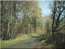 SP0114 : Road past Staple Farm by Sarah Charlesworth