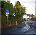 Traffic calming, Spot Lane