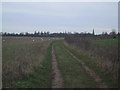 Track across the Thames floodplain at Abingdon