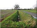 Ditch beside Morley Lane